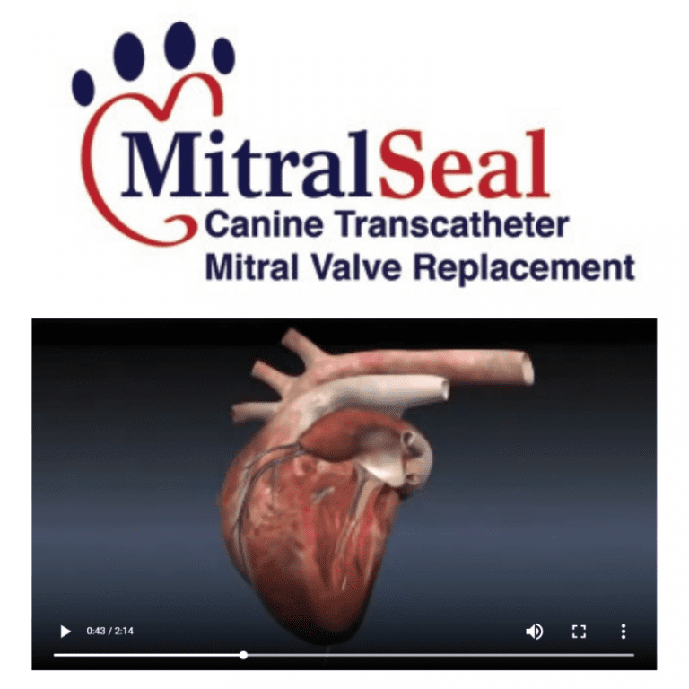 Avalon Medical's Product Line Innovative Veterinary Surgical Products