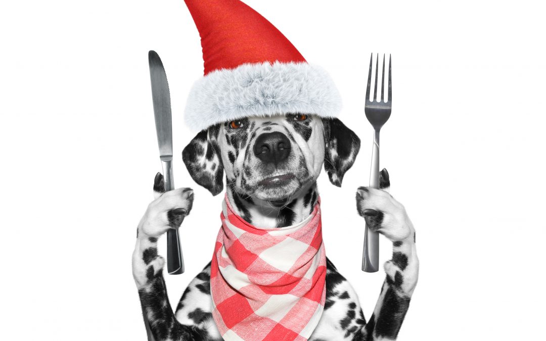5 Holiday Foods on Your Pet’s Naughty List
